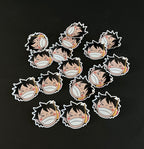 A bundle of vinyl glossy stickers inspired by One Piece. Featuring Usopp, Luffy, Chopper, Franky and the whole crew. Bundle contains 5 stickers